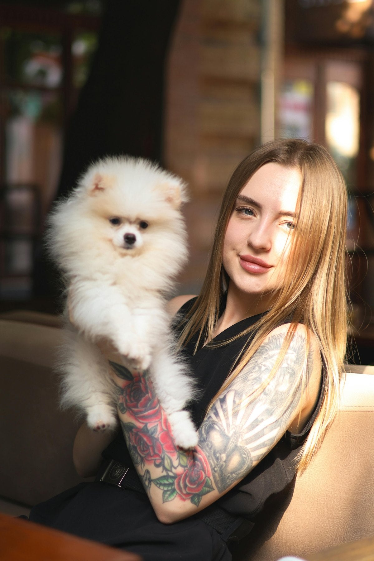 Pet portrait source photo for Pixxeleate support questions